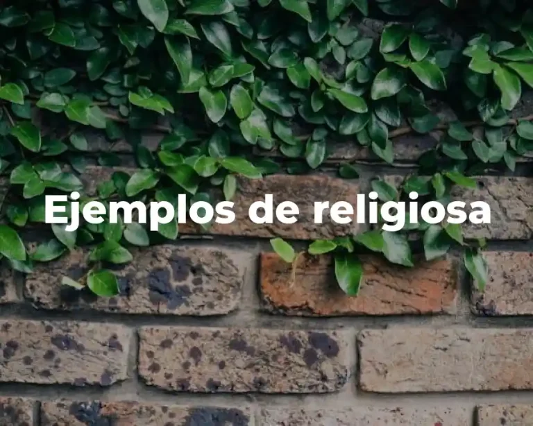 Ejemplos de religiosa