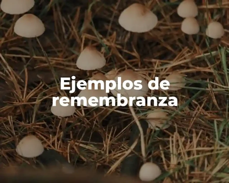 Ejemplos de remembranza