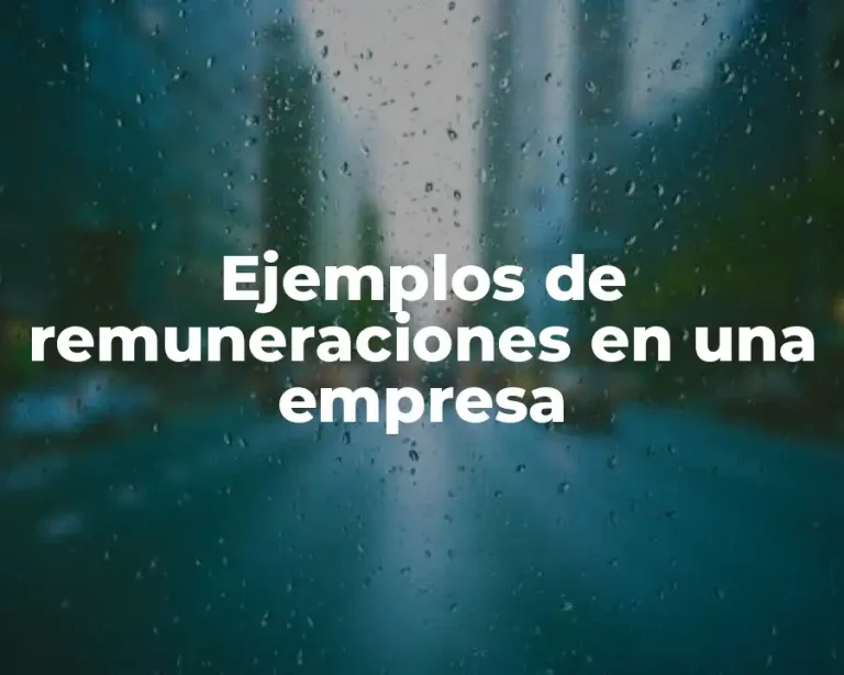 Ejemplos de remuneraciones en una empresa