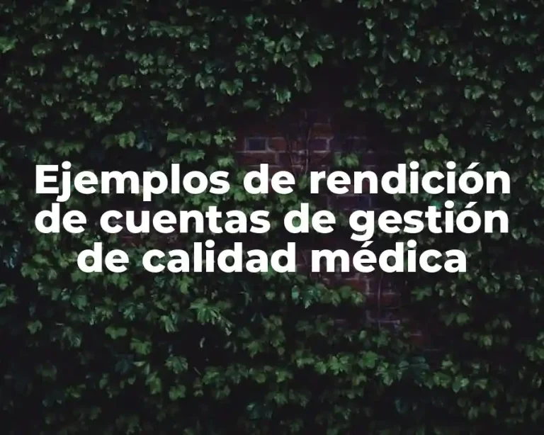 Ejemplos de rendición de cuentas de gestión de calidad médica