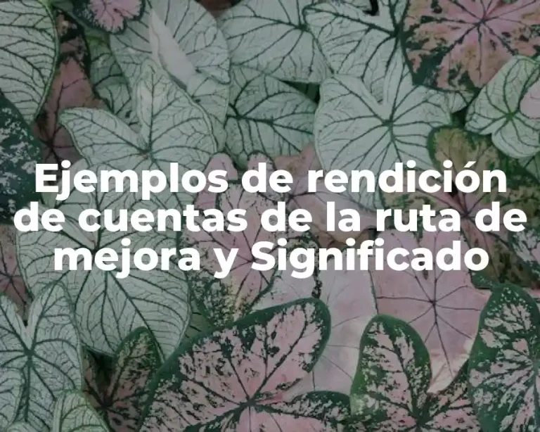Ejemplos de rendición de cuentas de la ruta de mejora y Significado