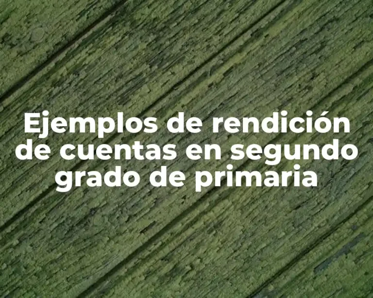 Ejemplos de rendición de cuentas en segundo grado de primaria