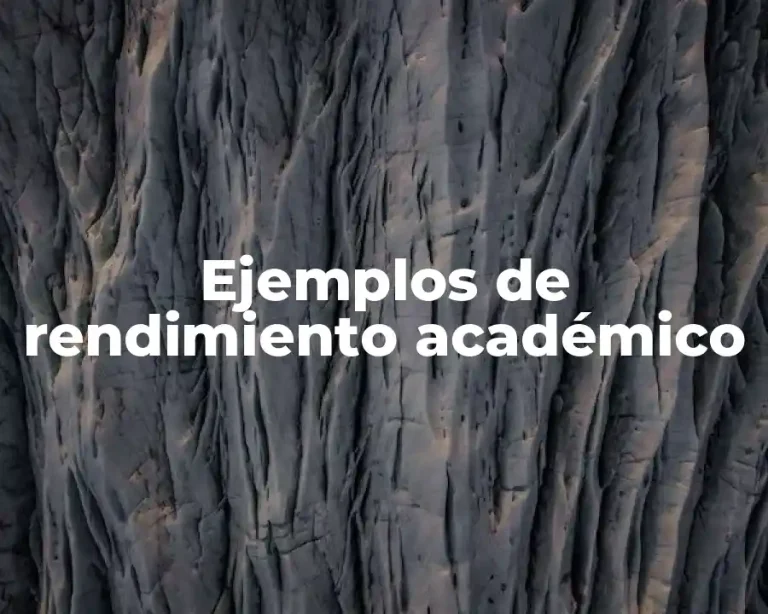 Ejemplos de rendimiento académico