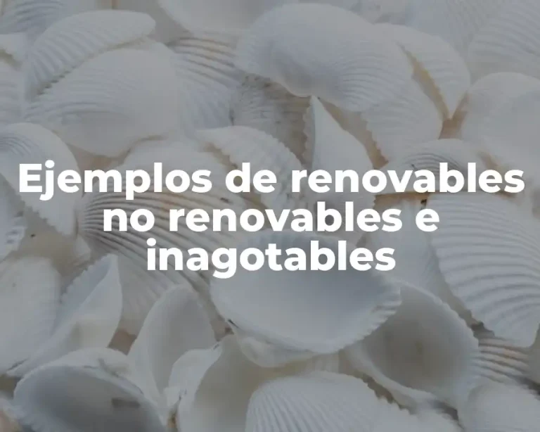 Ejemplos de renovables no renovables e inagotables