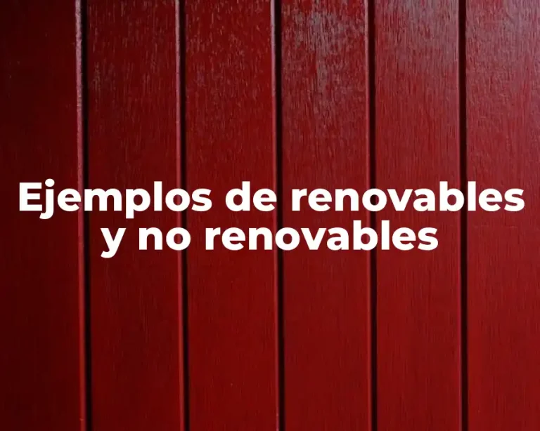Ejemplos de renovables y no renovables