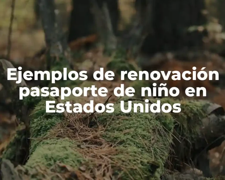 Ejemplos de renovación pasaporte de niño en Estados Unidos