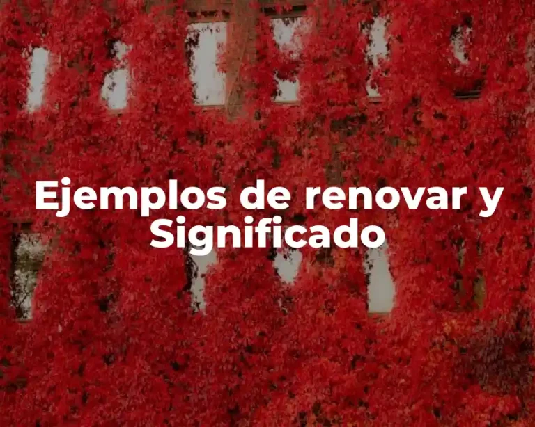 Ejemplos de renovar y Significado