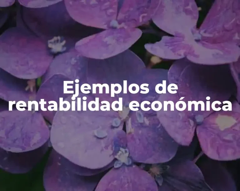 Ejemplos de rentabilidad económica