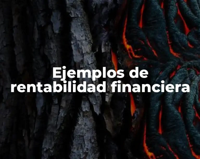 Ejemplos de rentabilidad financiera