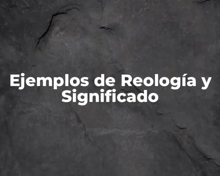 Ejemplos de Reología y Significado