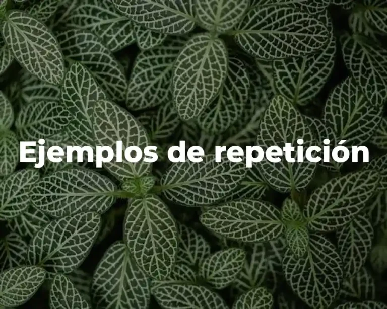 Ejemplos de repetición