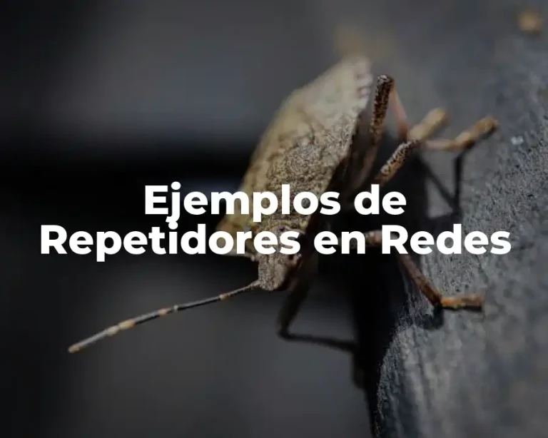 Ejemplos de Repetidores en Redes