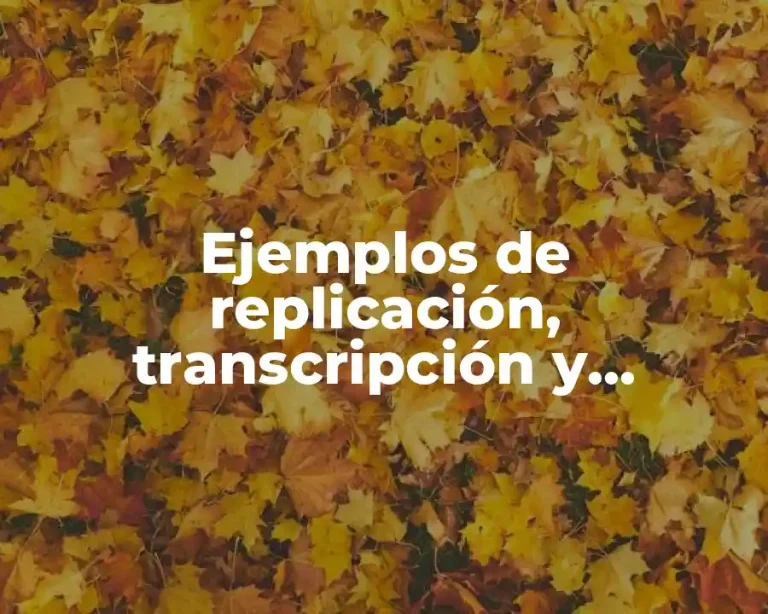 Ejemplos de replicación, transcripción y traducción del ADN