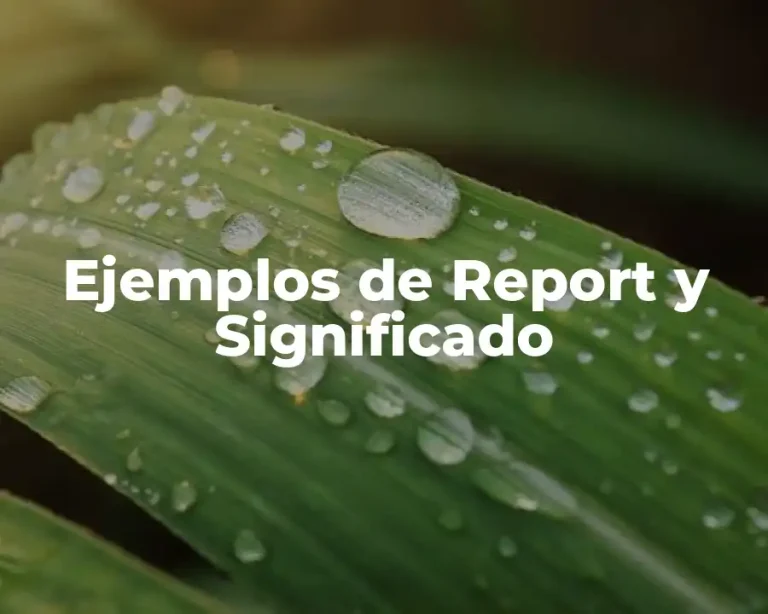 Ejemplos de Report y Significado