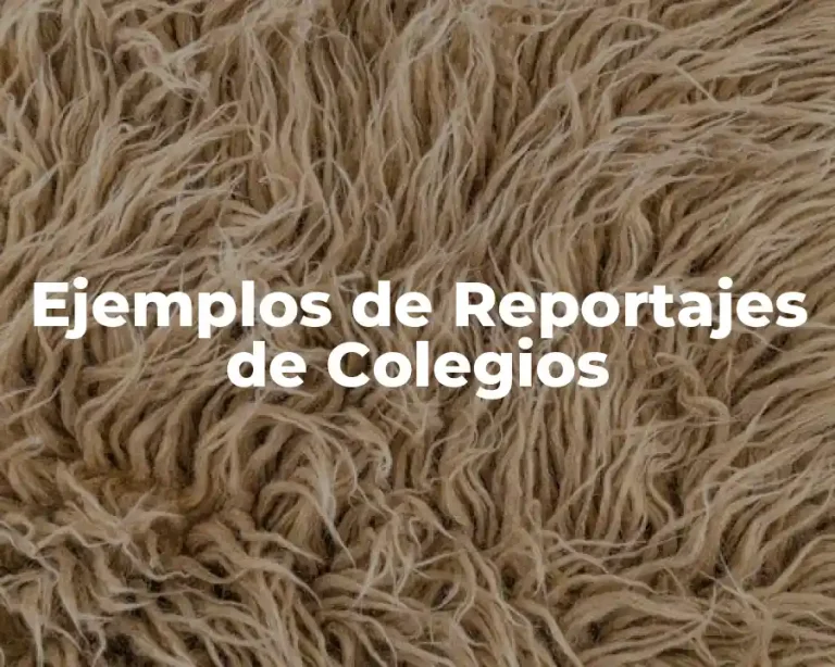 Ejemplos de Reportajes de Colegios