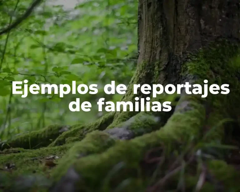 Ejemplos de reportajes de familias