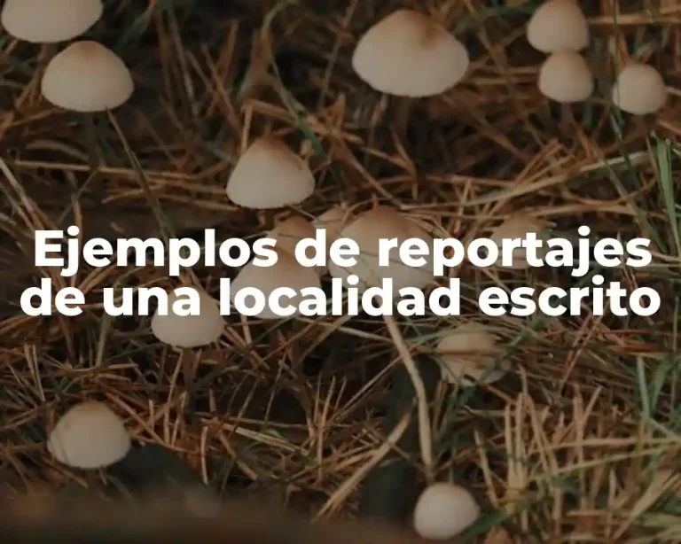 Ejemplos de reportajes de una localidad escrito