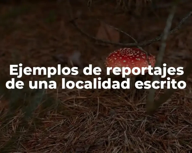 Ejemplos de reportajes de una localidad escrito