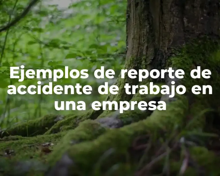 Ejemplos de reporte de accidente de trabajo en una empresa