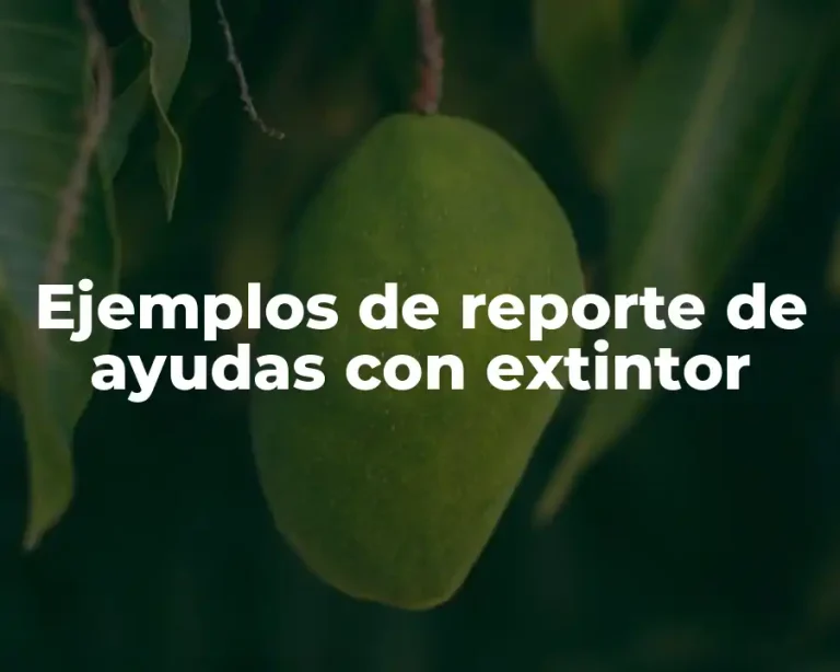 Ejemplos de reporte de ayudas con extintor