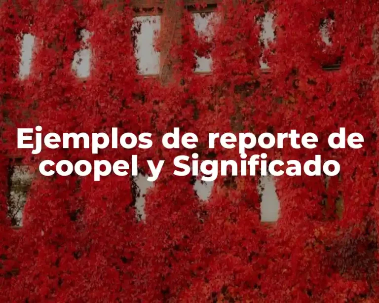 Ejemplos de reporte de coopel y Significado