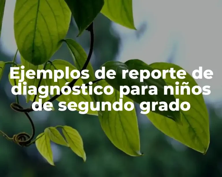 Ejemplos de reporte de diagnóstico para niños de segundo grado