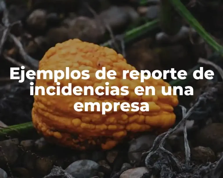 Ejemplos de reporte de incidencias en una empresa