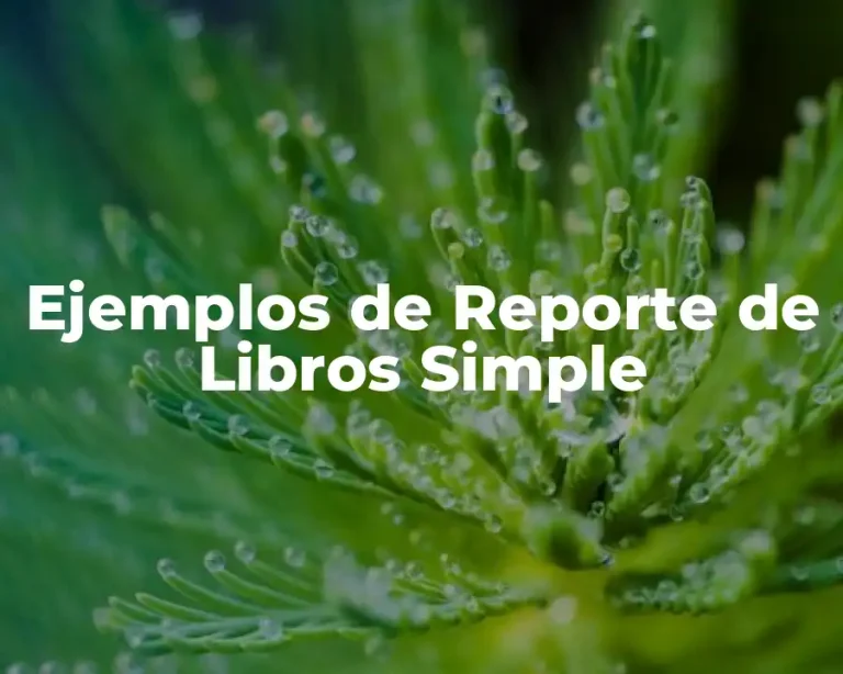 Ejemplos de Reporte de Libros Simple