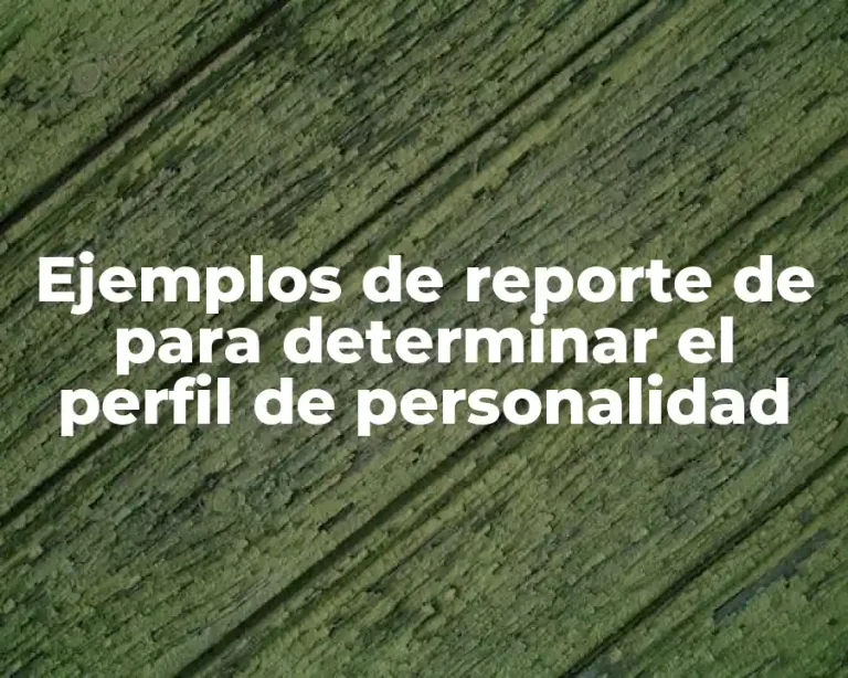 Ejemplos de reporte de para determinar el perfil de personalidad