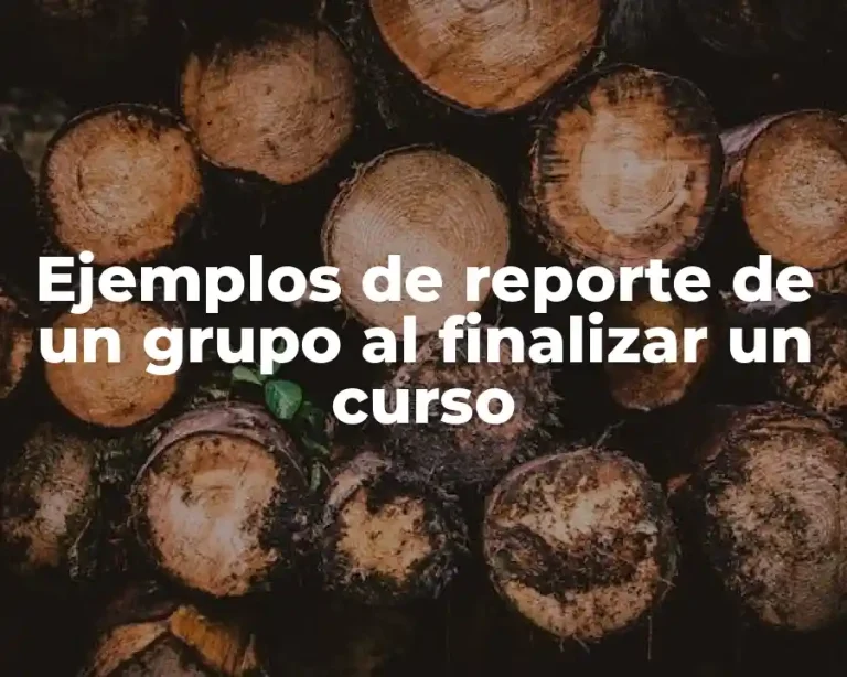 Ejemplos de reporte de un grupo al finalizar un curso