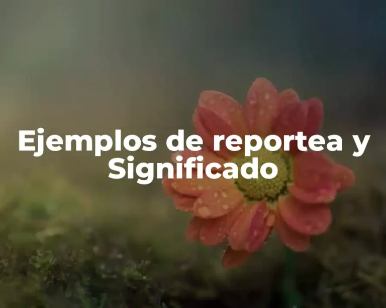 Ejemplos de reportea y Significado