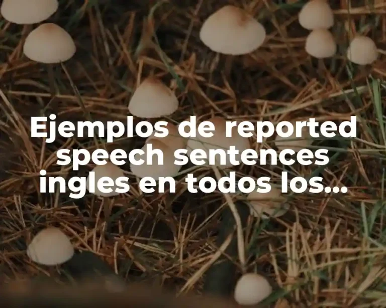 Ejemplos de reported speech sentences ingles en todos los tiempos