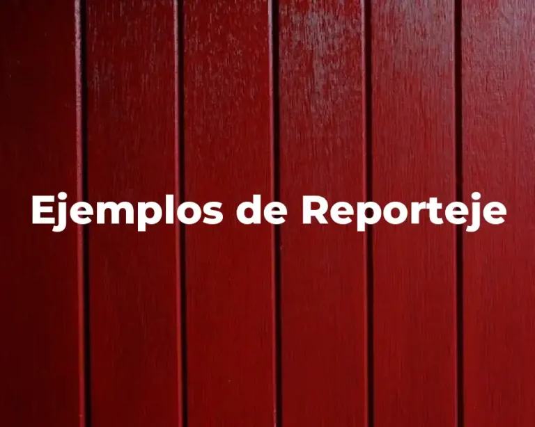 Ejemplos de Reporteje