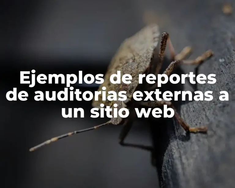Ejemplos de reportes de auditorias externas a un sitio web