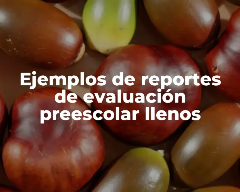 Ejemplos de reportes de evaluación preescolar llenos