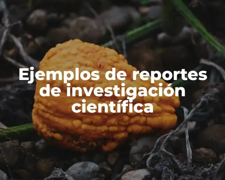 Ejemplos de reportes de investigación científica