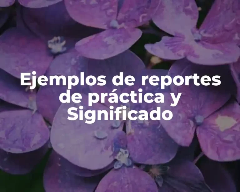 Ejemplos de reportes de práctica y Significado