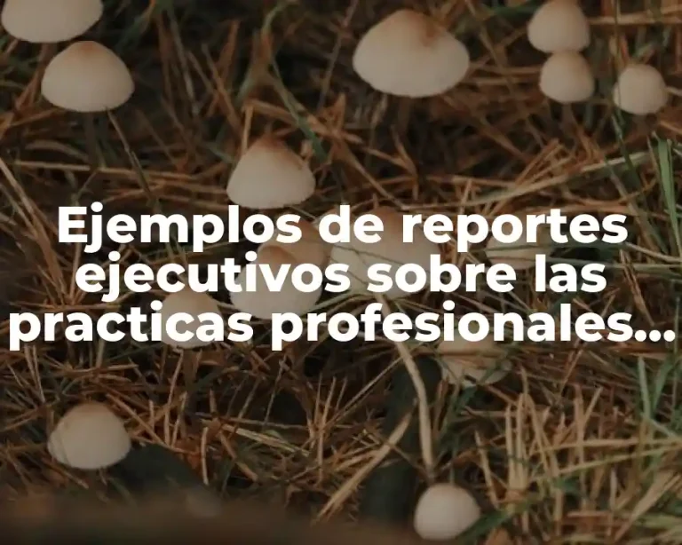 Ejemplos de reportes ejecutivos sobre las practicas profesionales de