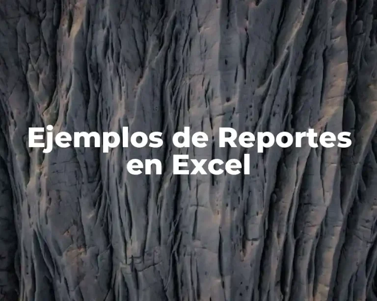 Ejemplos de Reportes en Excel