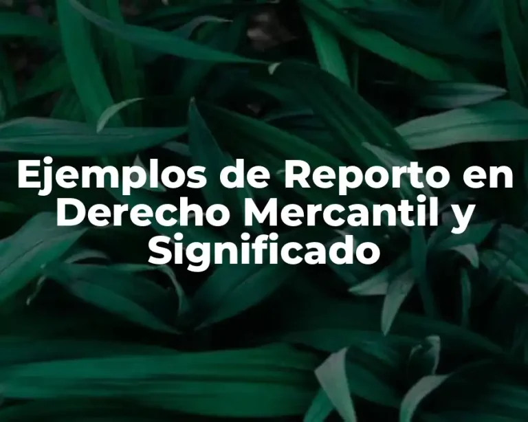 Ejemplos de Reporto en Derecho Mercantil y Significado