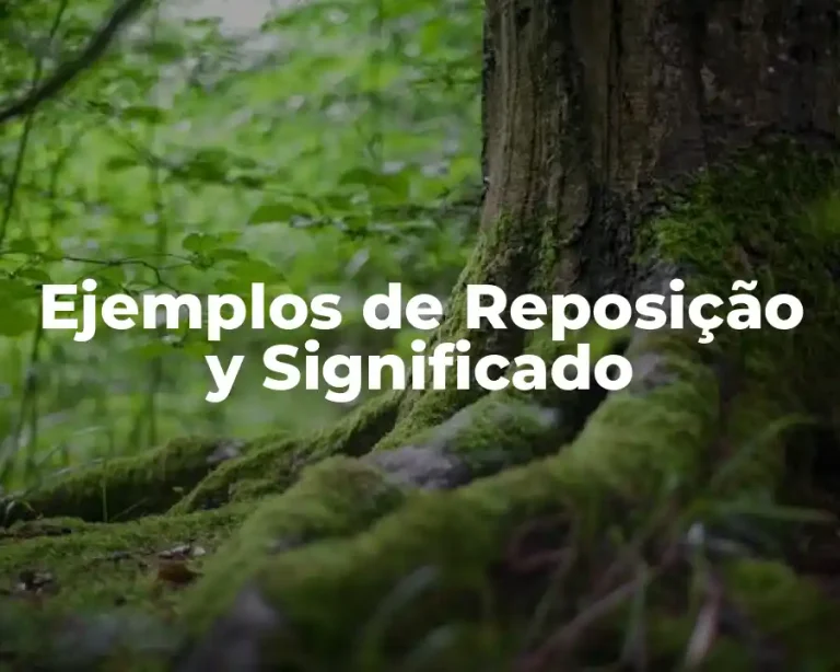 Ejemplos de Reposição y Significado