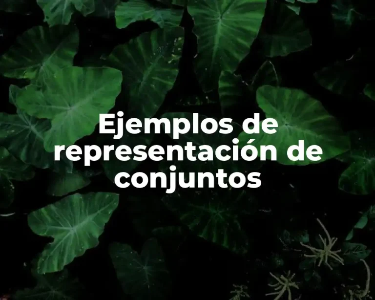 Ejemplos de representación de conjuntos