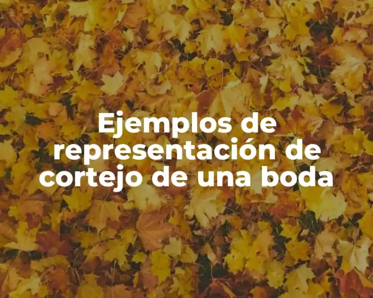 Ejemplos de representación de cortejo de una boda