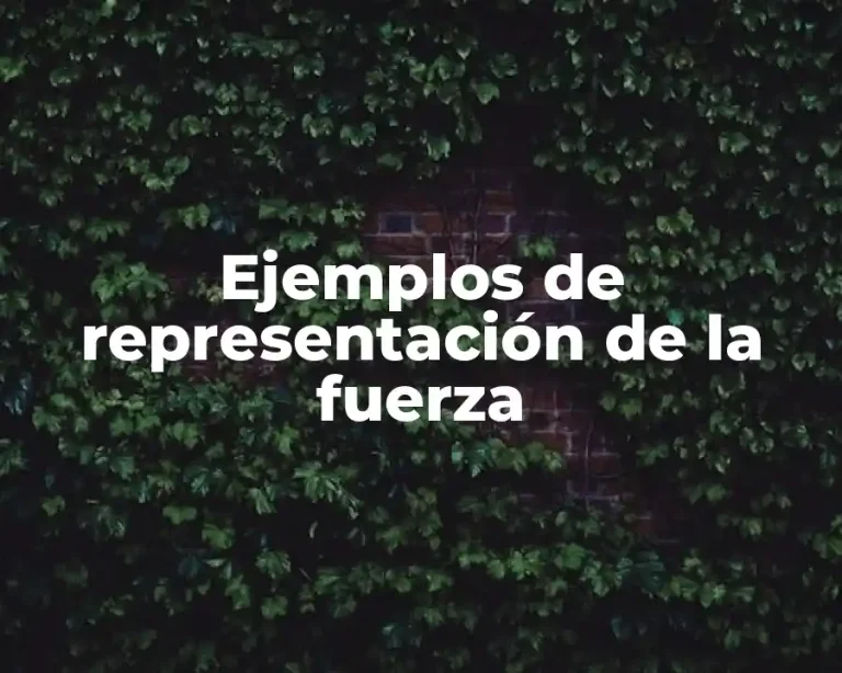 Ejemplos de representación de la fuerza