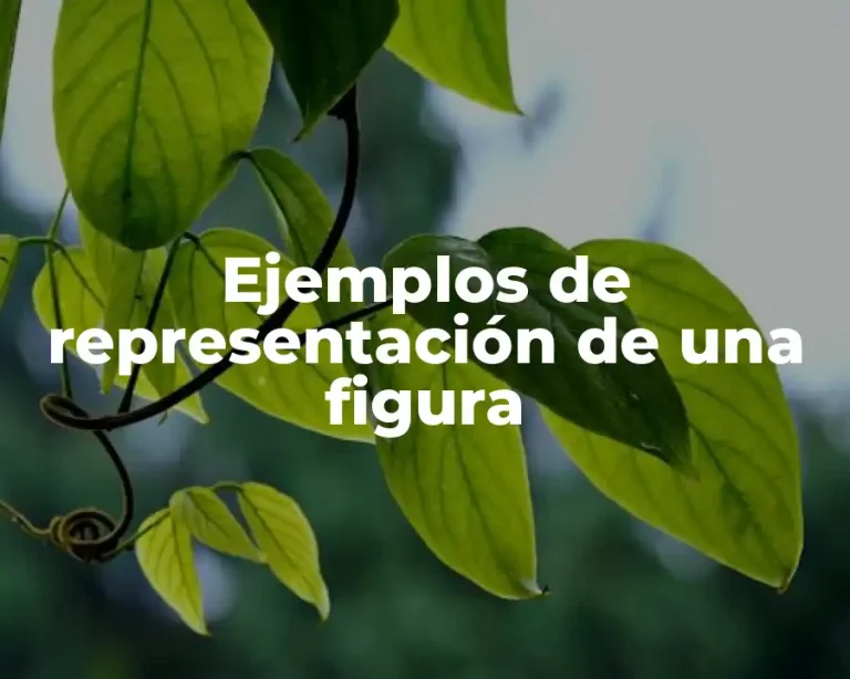 Ejemplos de representación de una figura