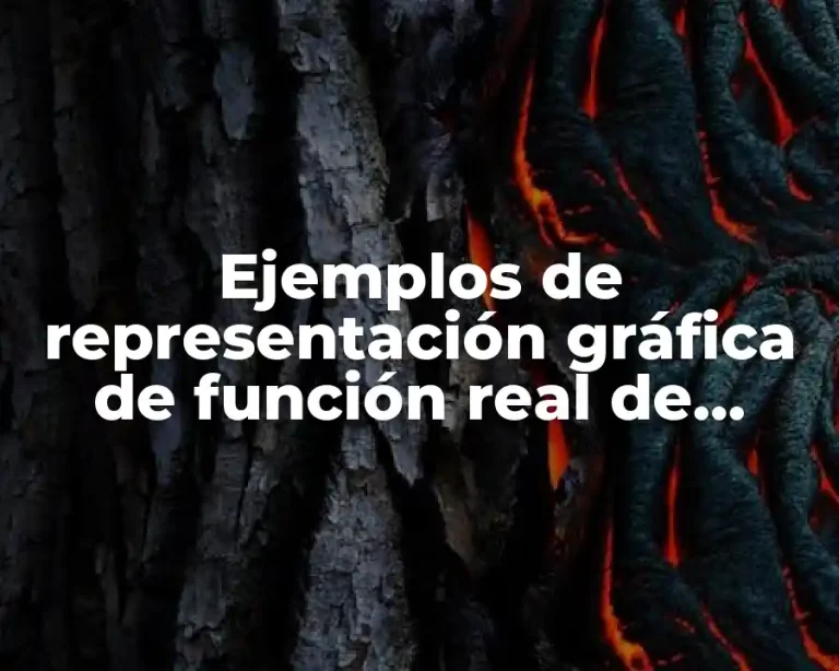 Ejemplos de representación gráfica de función real de variable real