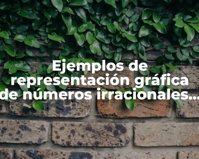 Ejemplos de representación gráfica de números irracionales y Significado