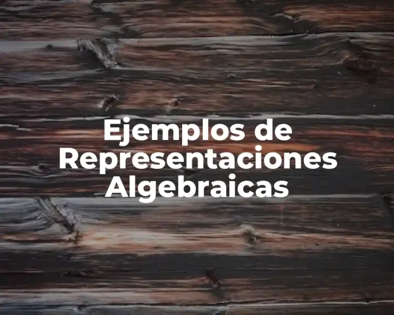 Ejemplos de Representaciones Algebraicas