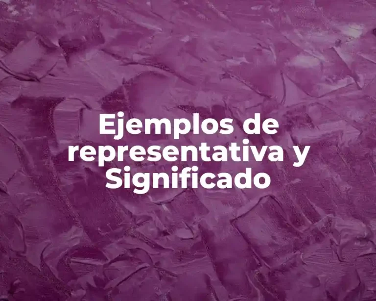 Ejemplos de representativa y Significado