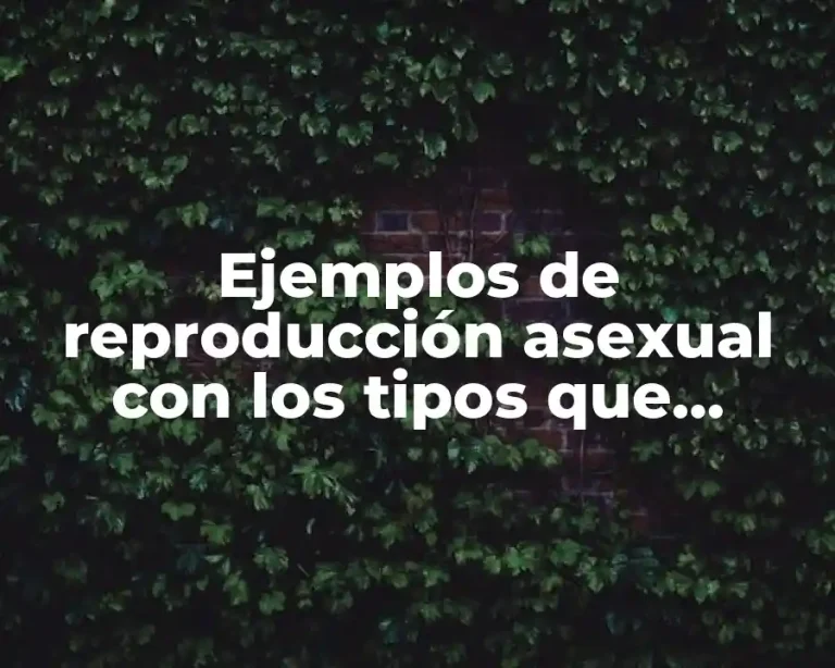 Ejemplos de reproducción asexual con los tipos que incluyen regeneración